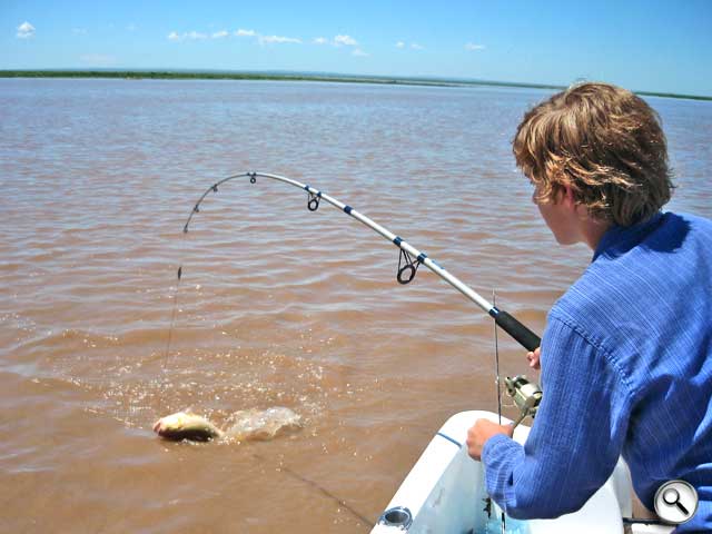 Algunas grandes consejos para ayudarle a capturar m�s peces, mientras River Pesca