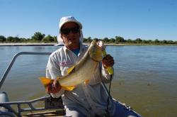 Pesca en Carpa - Dorado