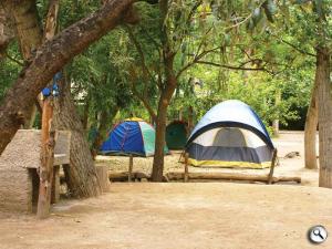 El camping de Charly Garcia y Antonio Banderas