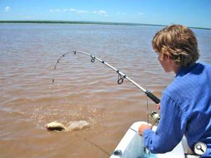 Cañas de pescar para auténticos pescadores profesionales de río y mar