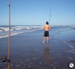 Que caña compro para pescar en el mar 