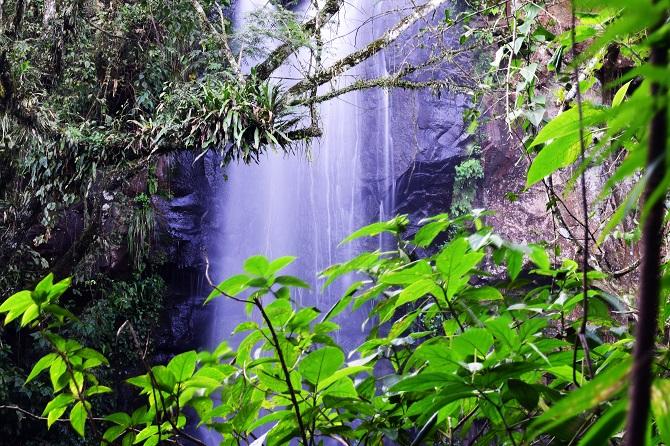 Regalos de la naturaleza en un viaje &uacute;nico