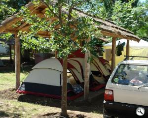 Guía completa para elegir una carpa