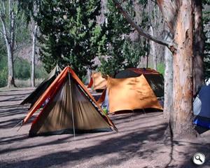 Guía completa para elegir una carpa