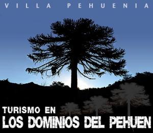 Turismo en los dominios del pehuén